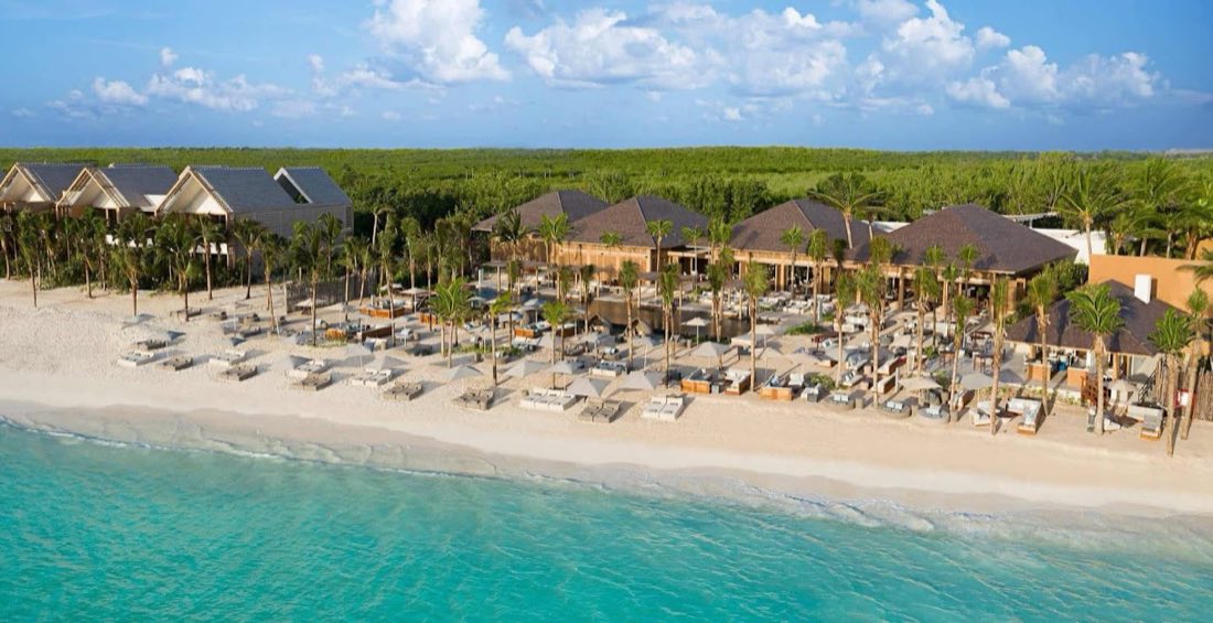 Club de playa con camastros bajo palmeras junto al mar