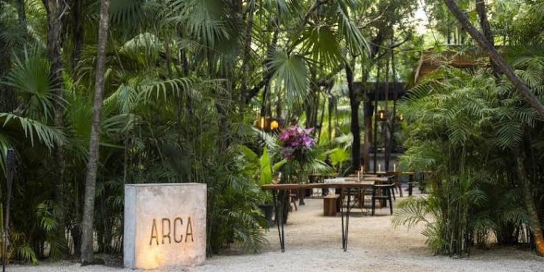 Entrada selvática del restaurante ARCA entre palmeras, Tulum