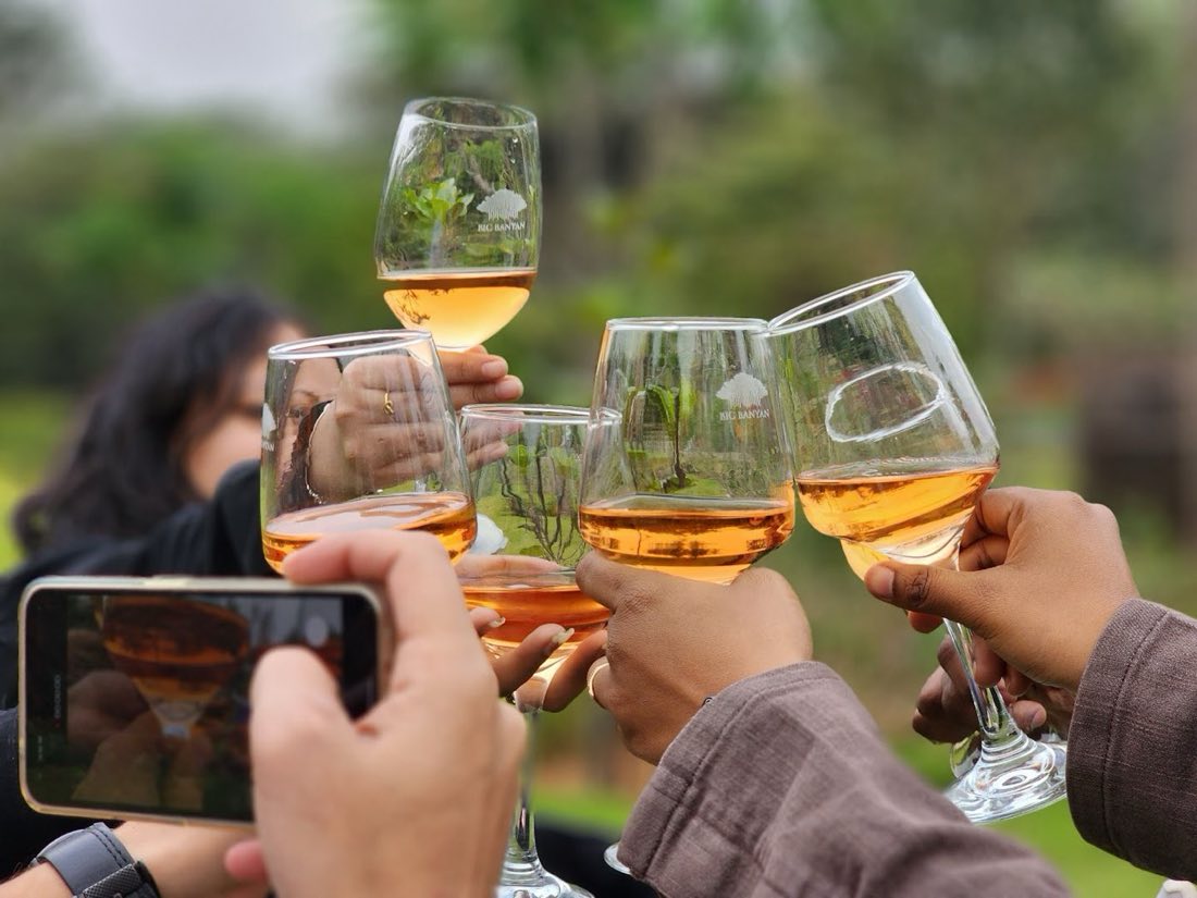 Amigos brindan con copas de vino rosado en un jardín