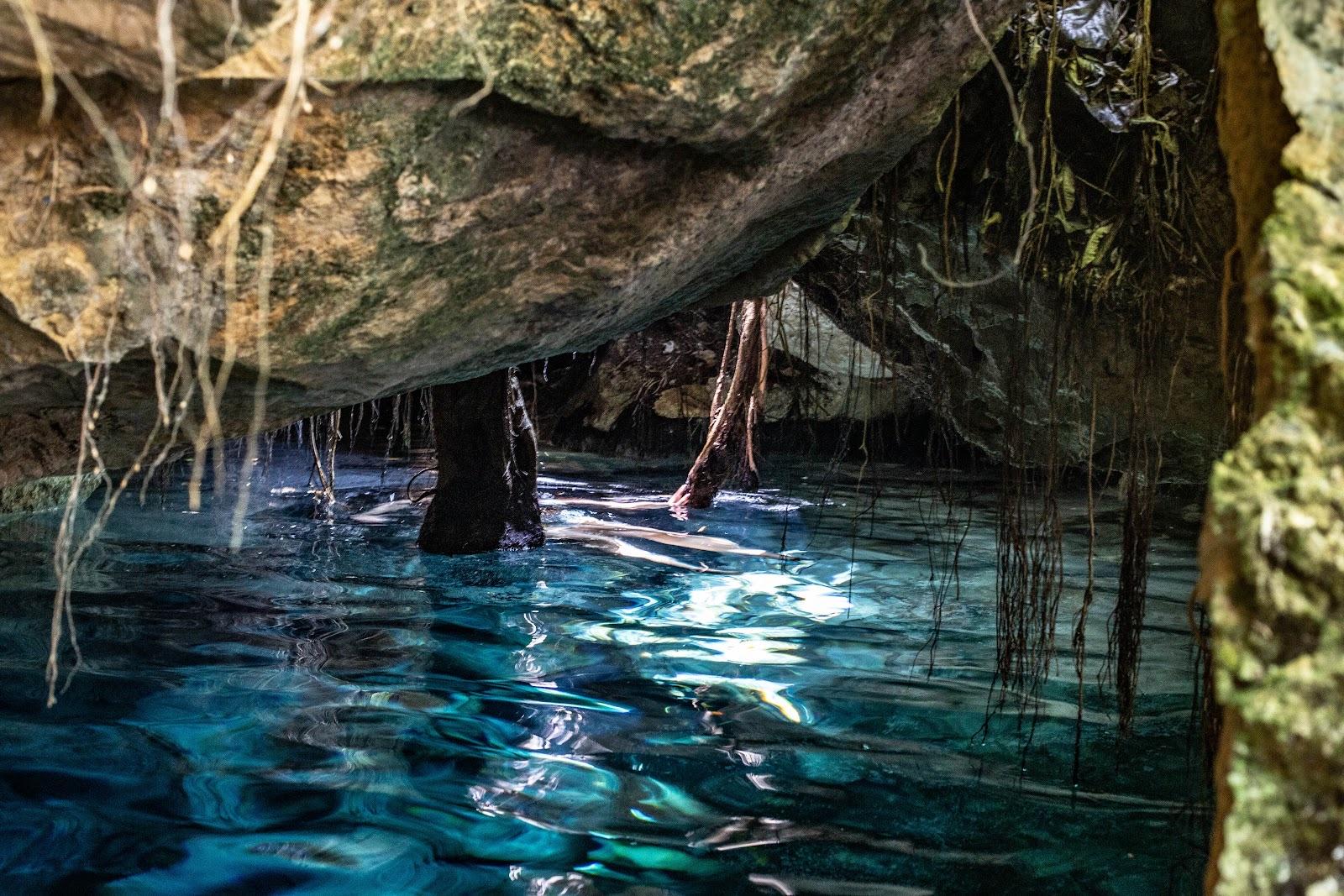 Una persona flotando en agua turquesa cristalina bajo un saliente de roca cubierto de raíces colgantes.