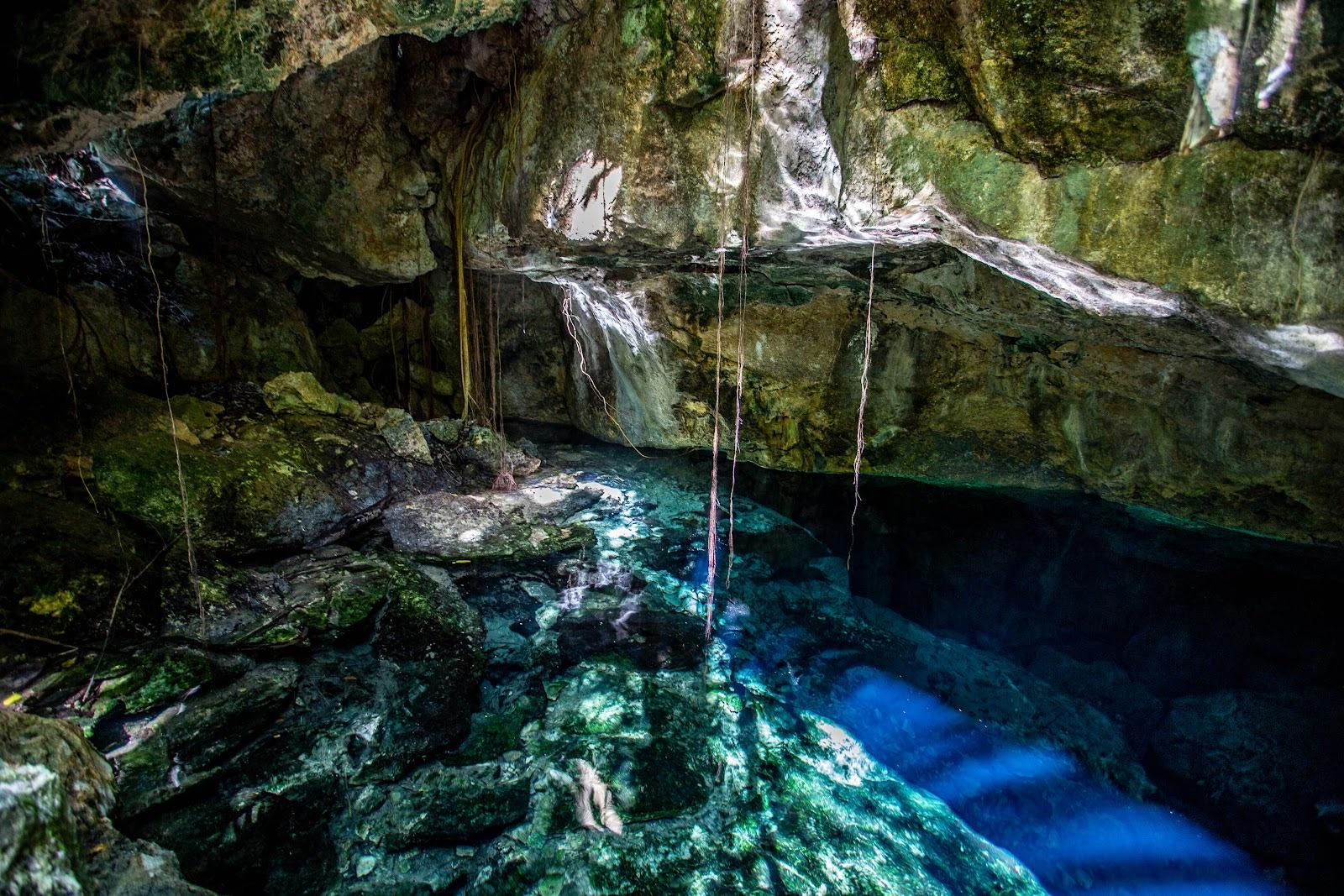 Aguas de un azul turquesa profundo en una caverna sombreada de cenote, con raíces colgantes y formaciones rocosas.