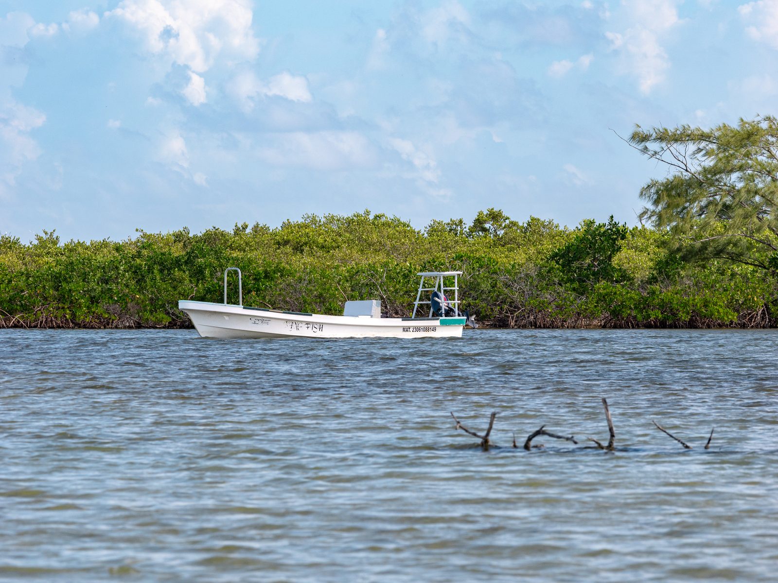 Una lancha de pesca esperando junto al manglar en agua tranquila