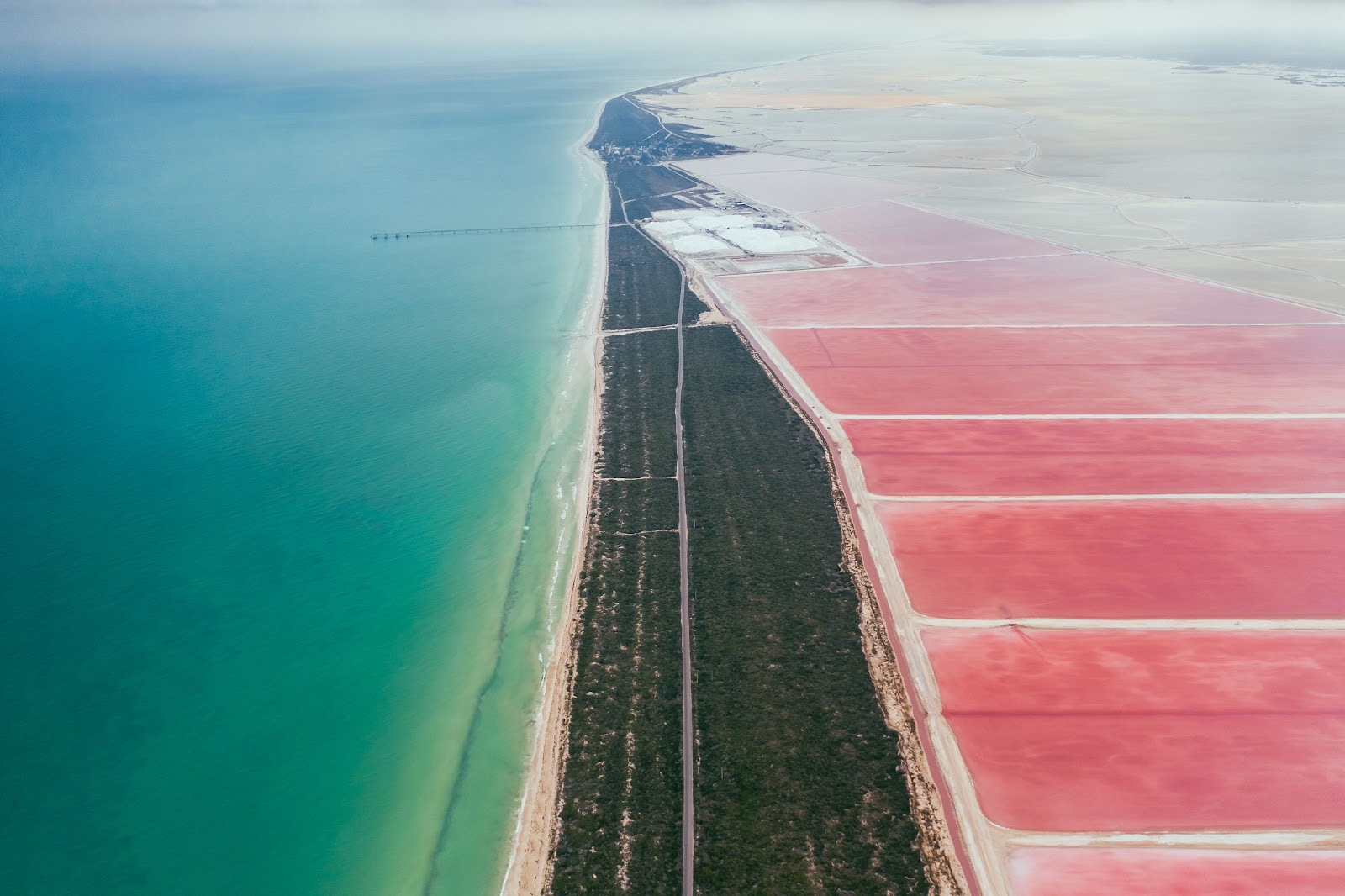 Aerial view of the pink salt ponds stretching along a narrow green peninsula with the turquoise Gulf alongside