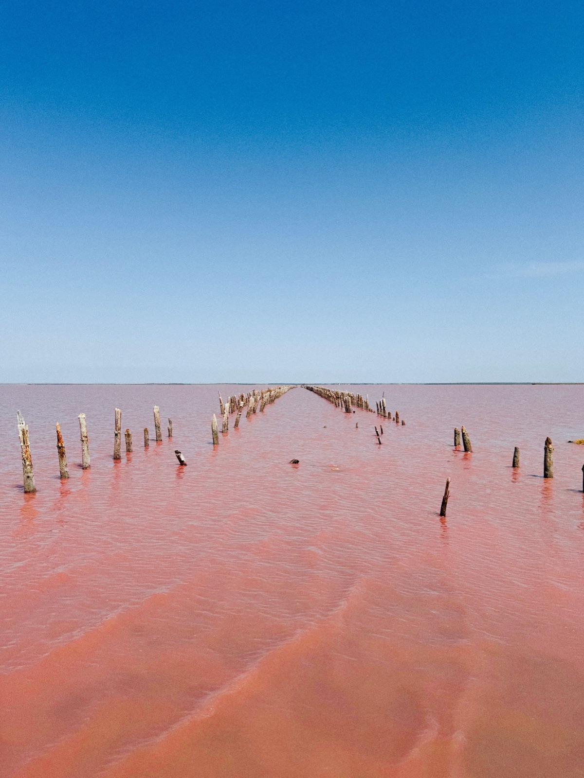 Ground-level view of vivid pink lagoon water with weathered wooden posts leading toward the horizon under a clear blue sky