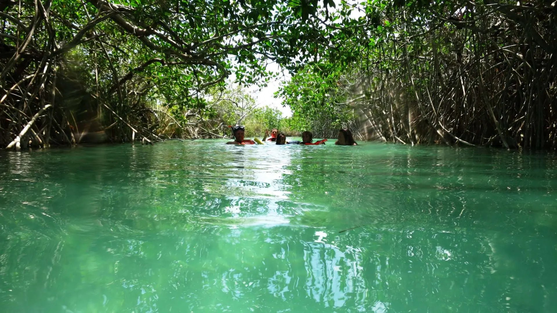 El canal de Muyil bajo un túnel verde de manglar, con gente flotando a lo lejos.
