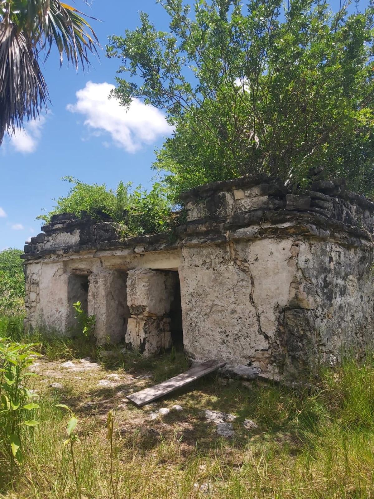 A weathered Maya stone structure at the Muyil archaeological site, framed by jungle under a blue sky.