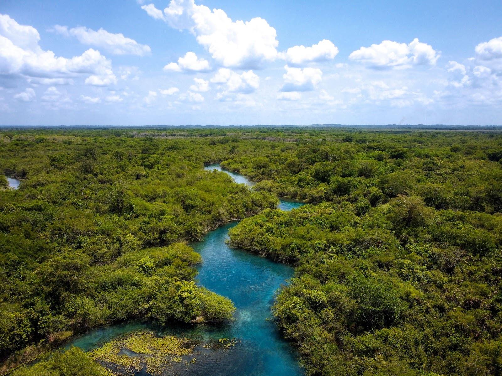 Aerial view of the blue freshwater canal winding through the mangrove jungle of the Sian Ka'an biosphere under a cloud-dotted sky.