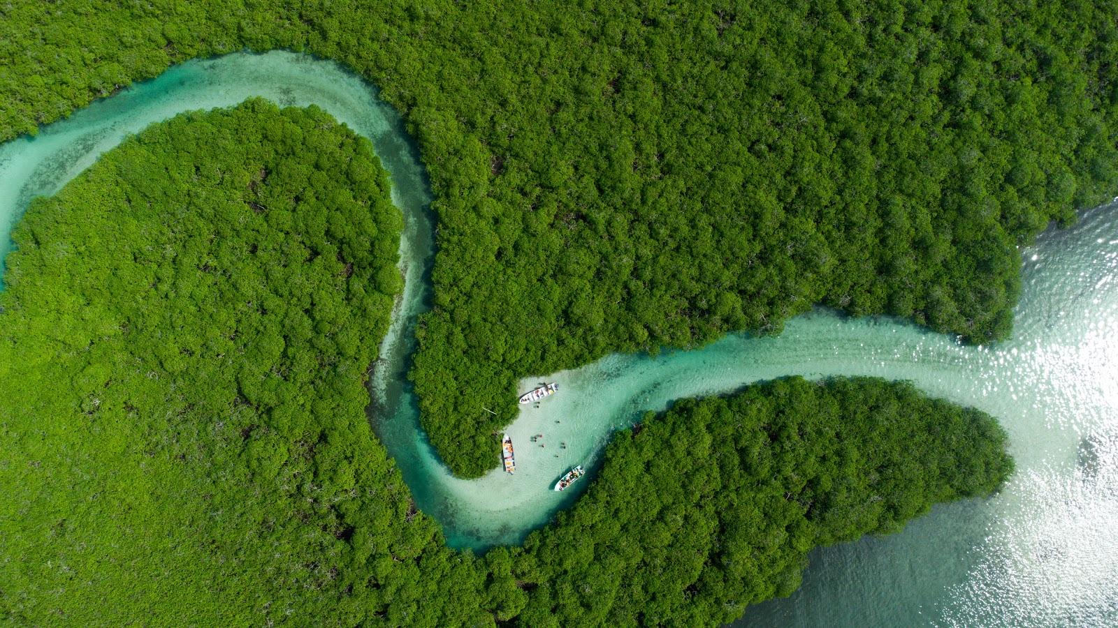 Aerial view of the winding turquoise Sian Ka'an canal cutting an S-curve through dense green mangroves, with small boats on the water.