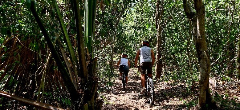 Riders on a narrow jungle singletrack