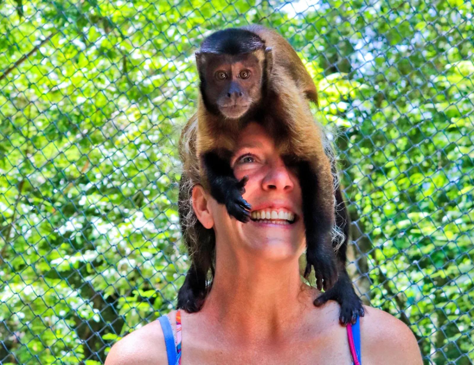 A visitor laughing as a rescued monkey perches on her shoulders in the sanctuary's jungle.