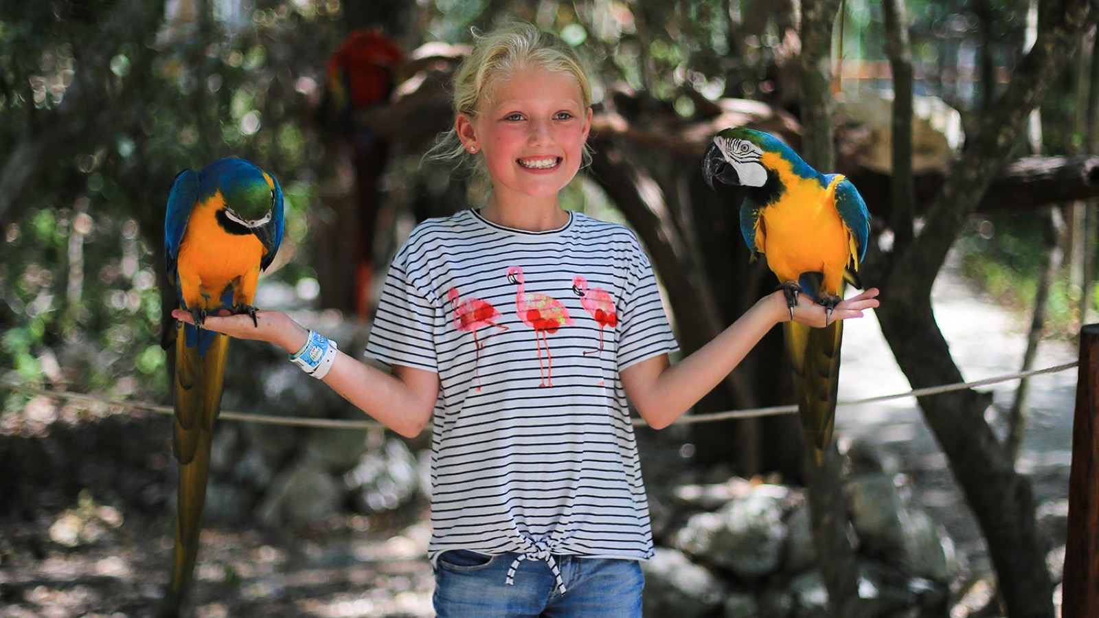 A visitor holding two blue-and-gold macaws perched on her arms at the rescue sanctuary.