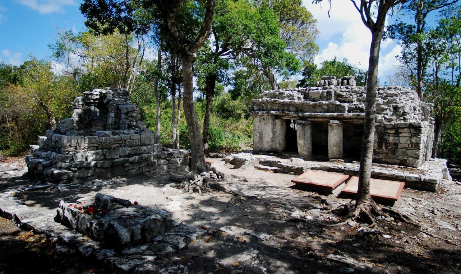 Ancient Maya stone structures with trees growing among the tumbled ruins in the jungle.