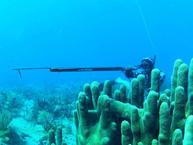Un pescador con arpón deslizándose sobre coral de pilar