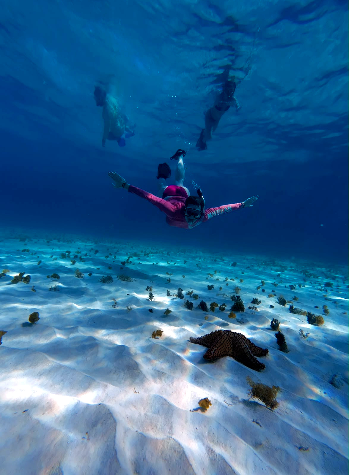 Una persona haciendo snorkel sobre un fondo de arena con una estrella de mar
