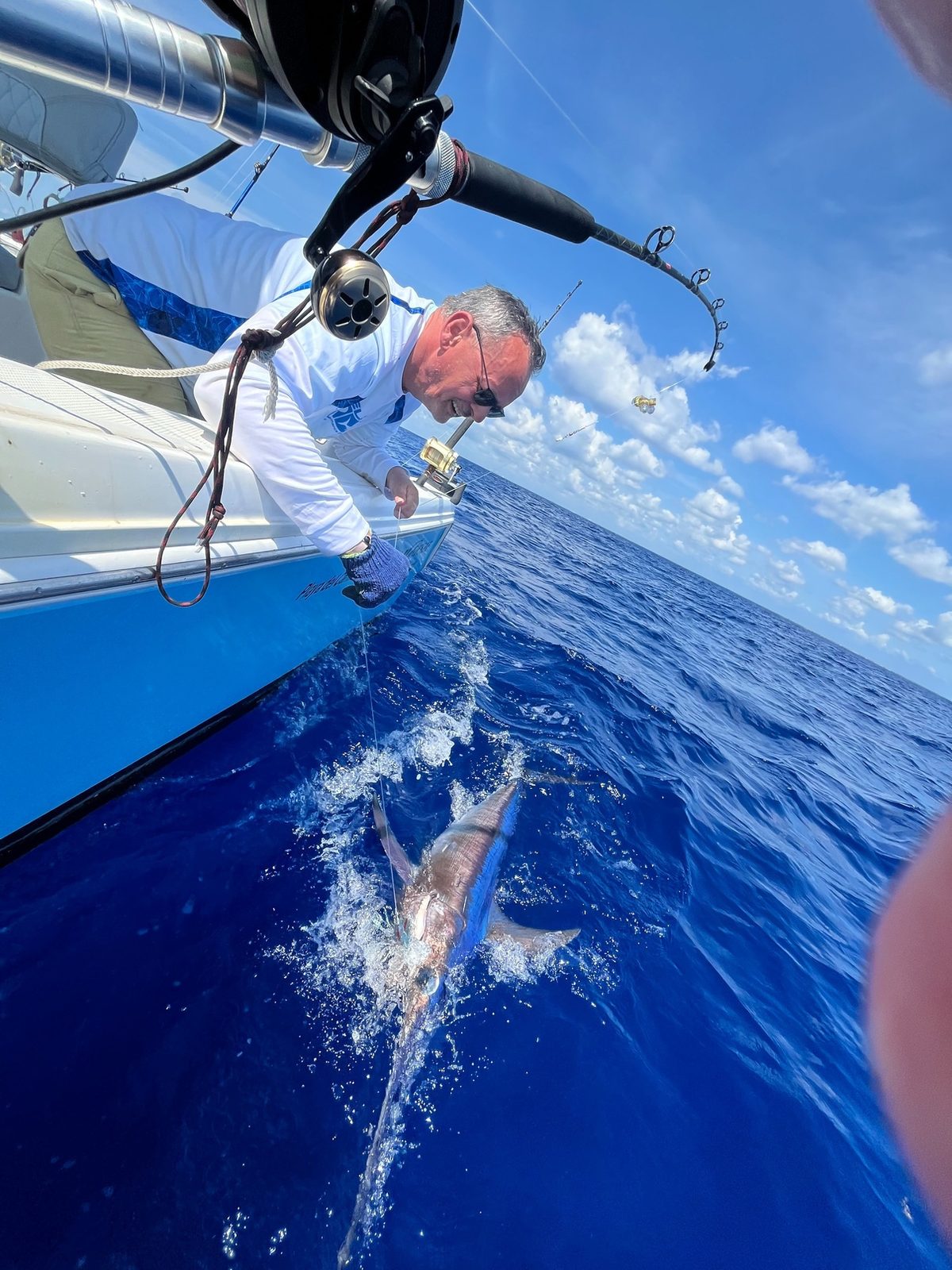 A fish brought alongside the boat in deep blue water