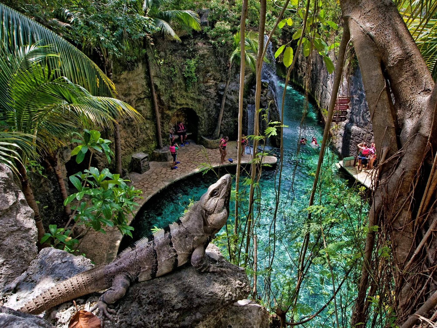 Sendero de selva entre puentes y fauna