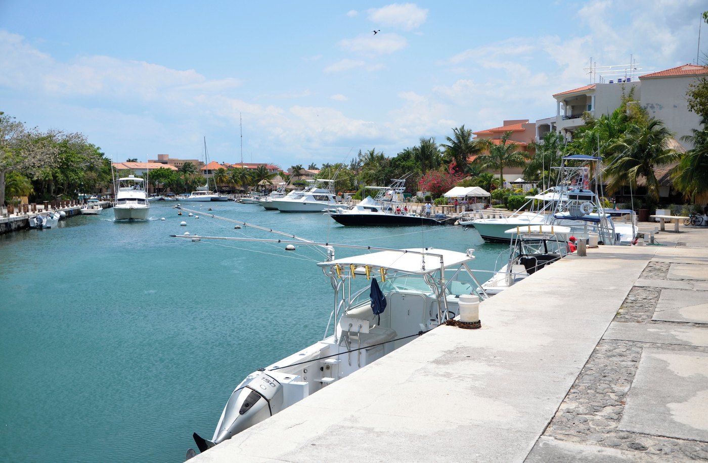 The marina of Puerto Aventuras