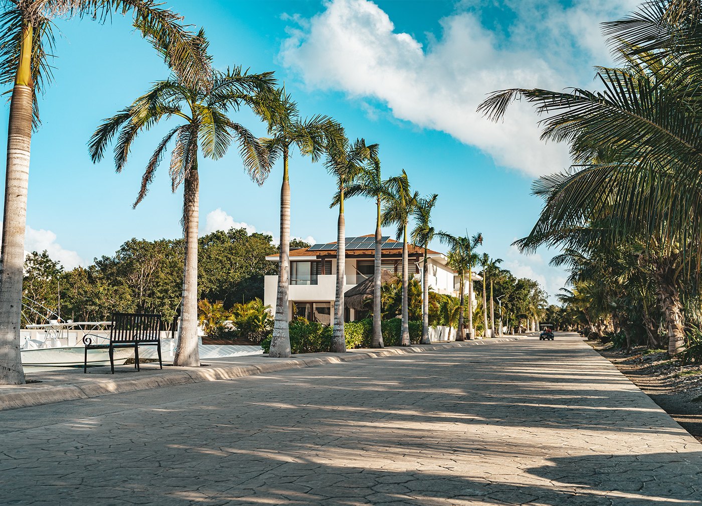 A palm-lined street inside the gates