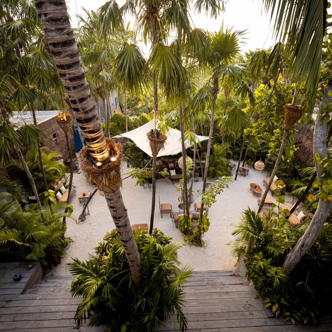 NÜ Tulum, el comedor en la selva visto desde arriba