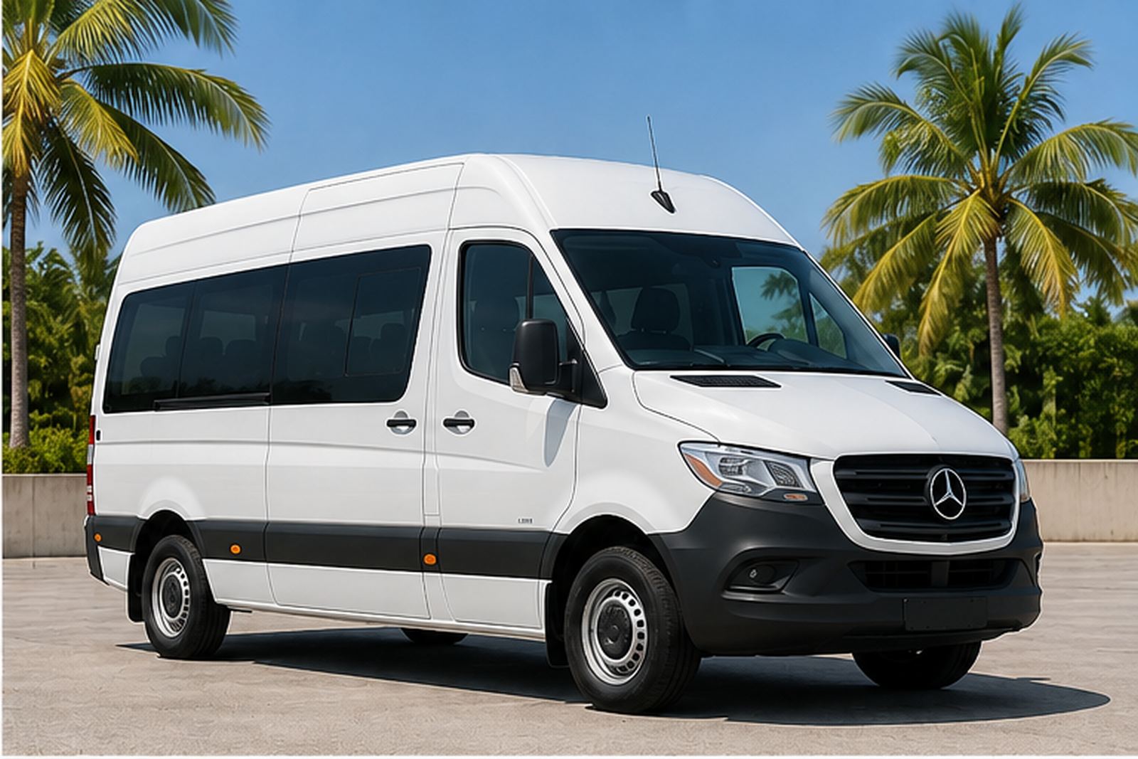 White Sprinter van parked under the palms