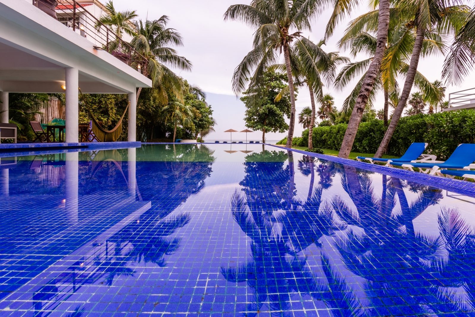 Infinity pool reflecting the palms