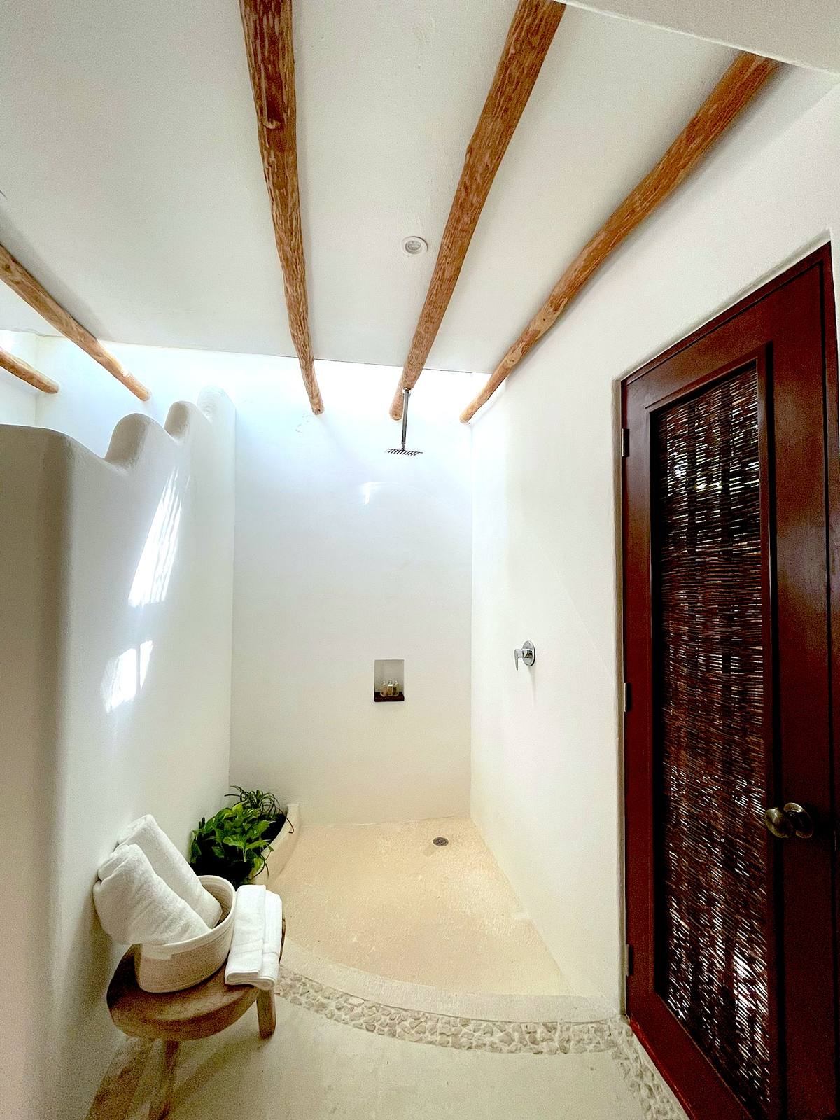 A skylit shower with a wooden door
