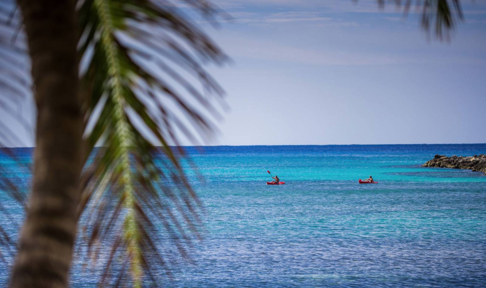 Kayakers on the turquoise sea, seen through the palms