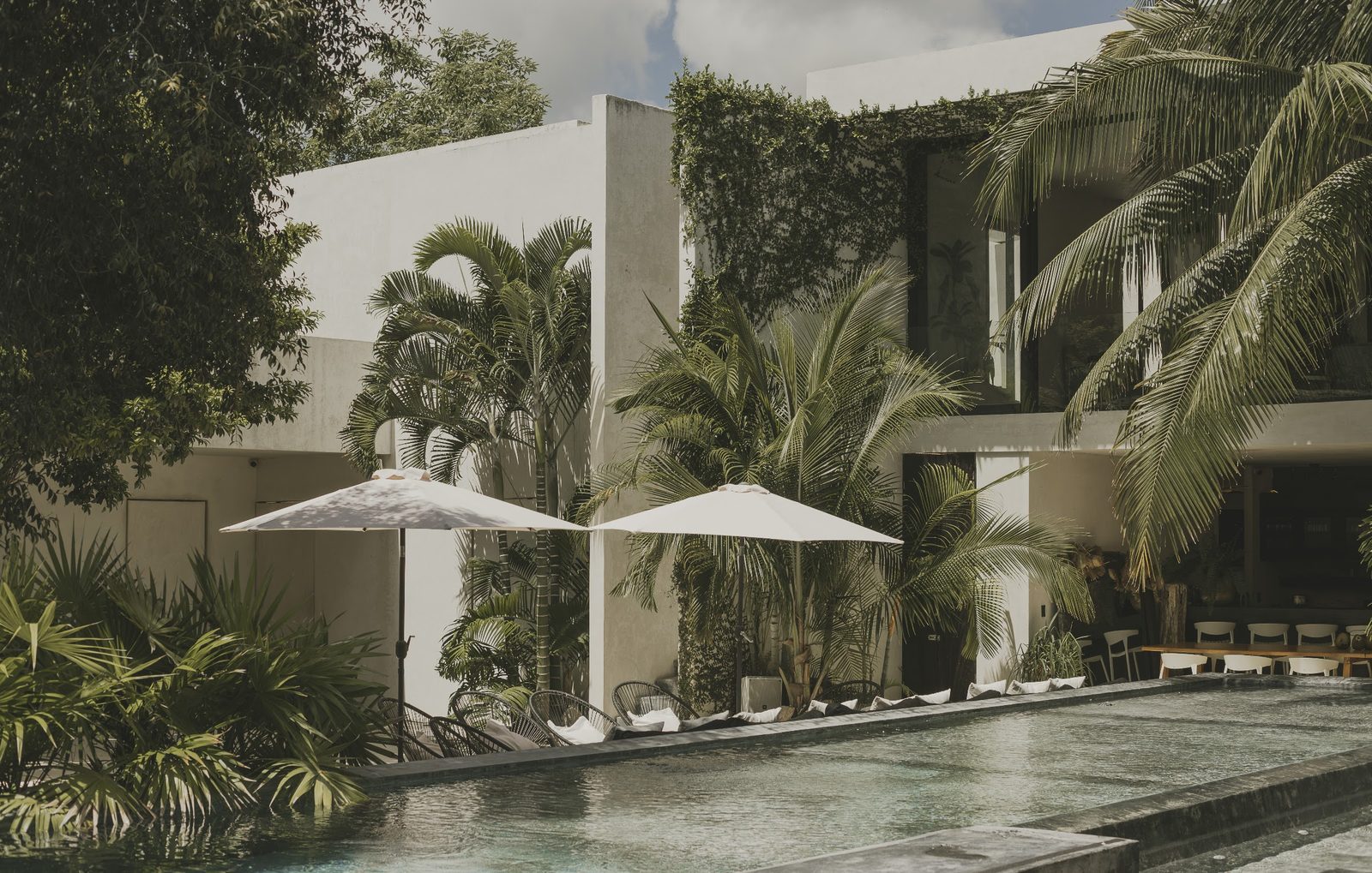 The house and the pool seen from the garden