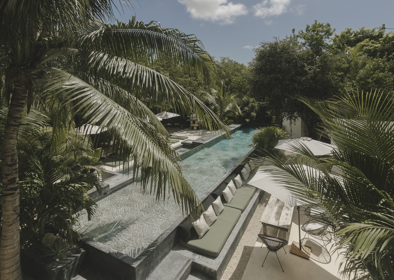 The pool from above, framed by palm fronds