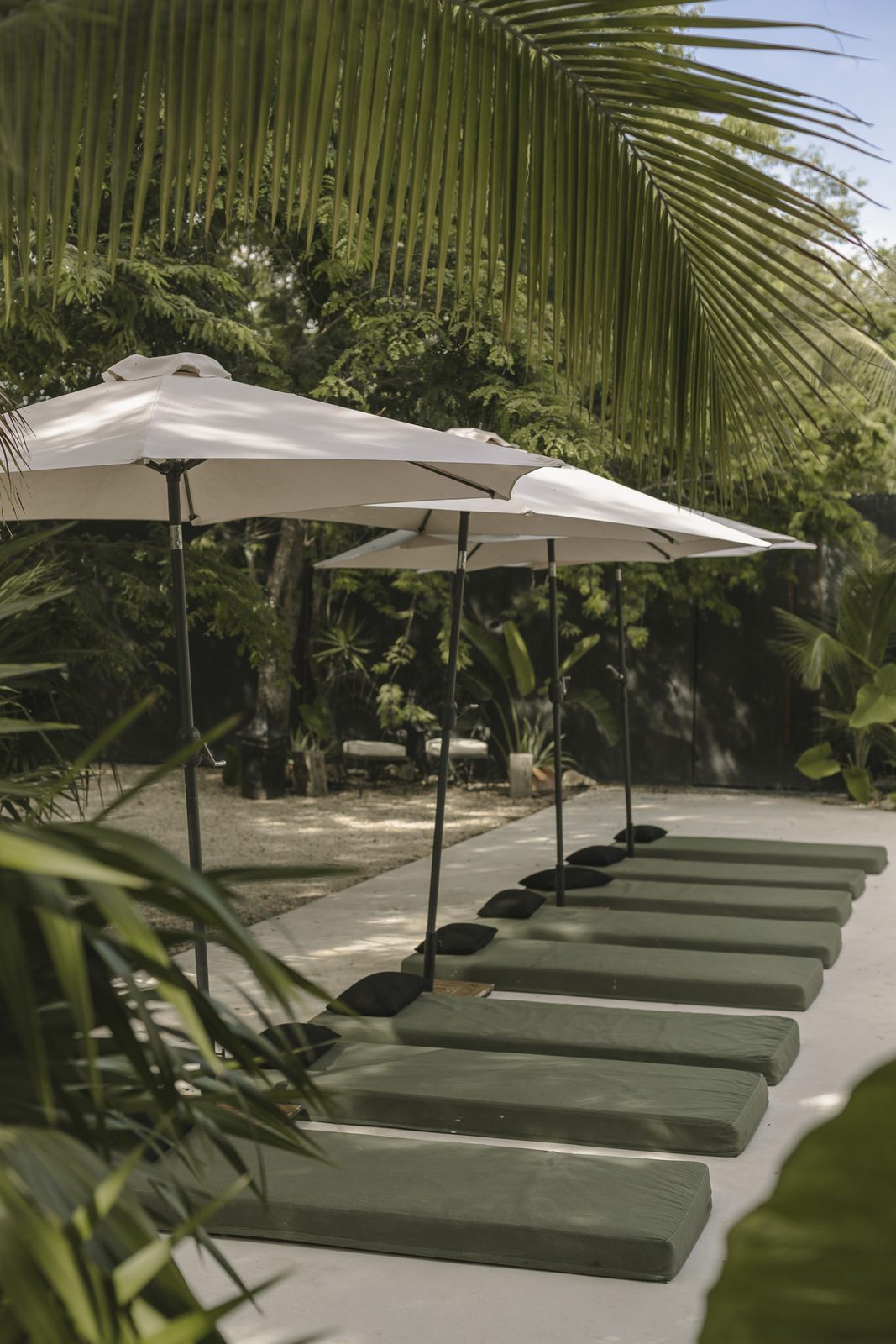 Loungers and umbrellas along the pool