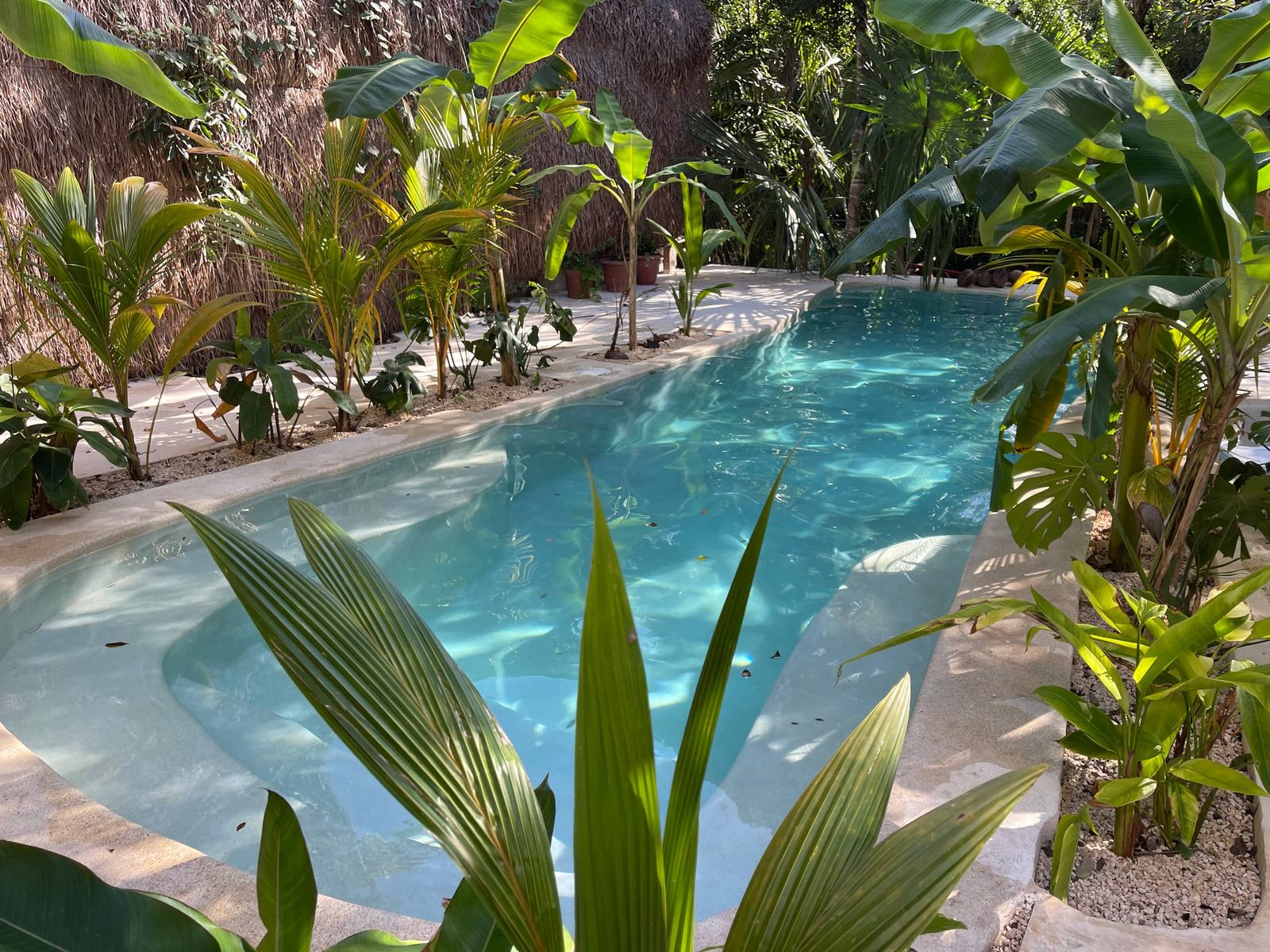 The private pool among palms and tropical plants