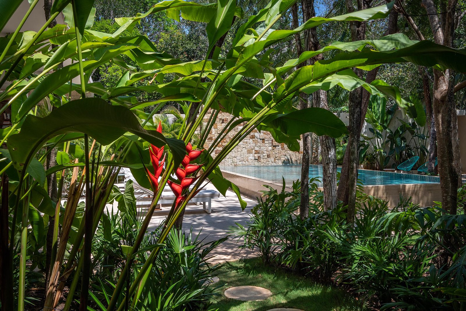 Heliconias and tropical plants in the villa garden
