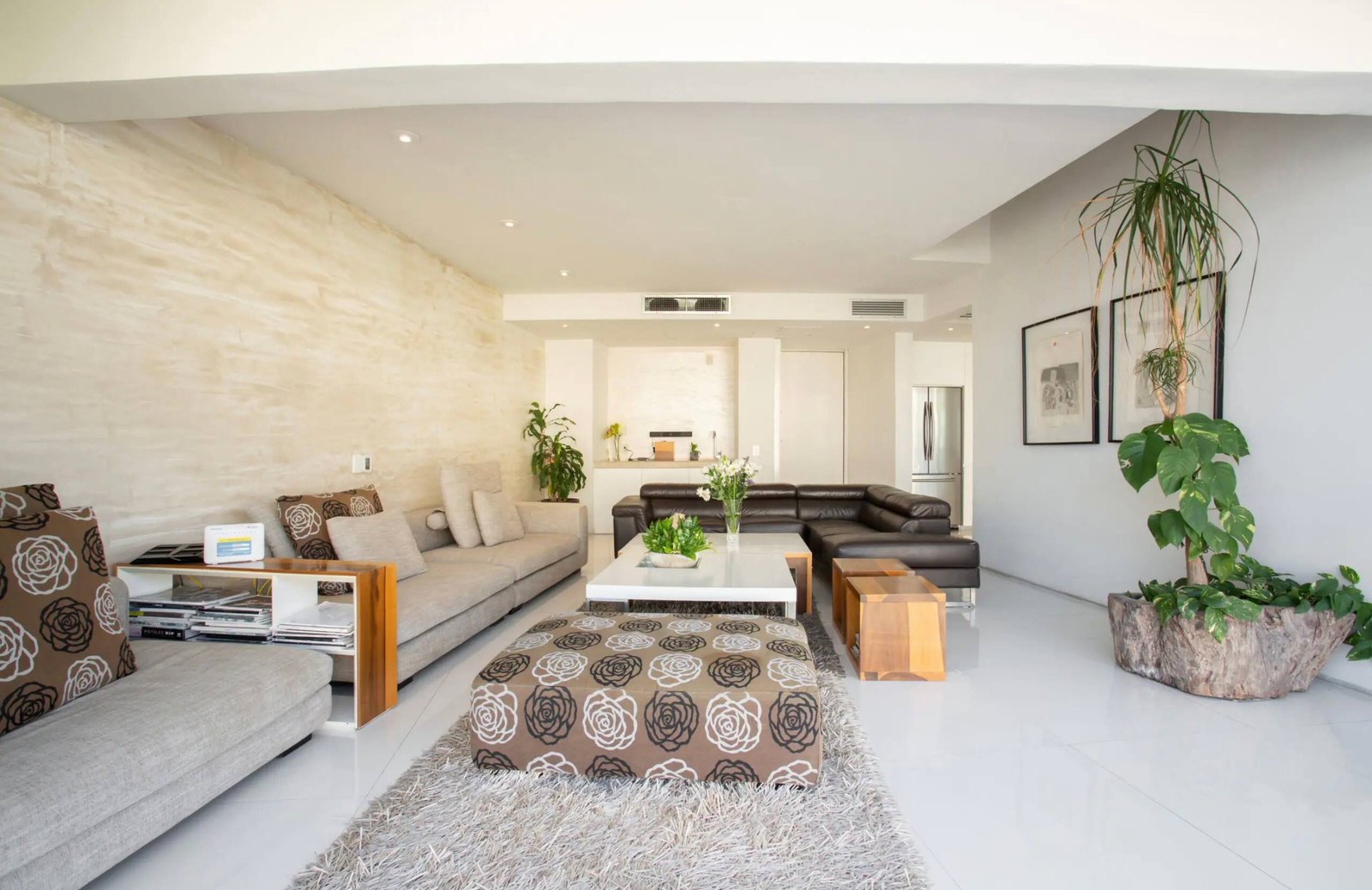 Living room with sofas and plants