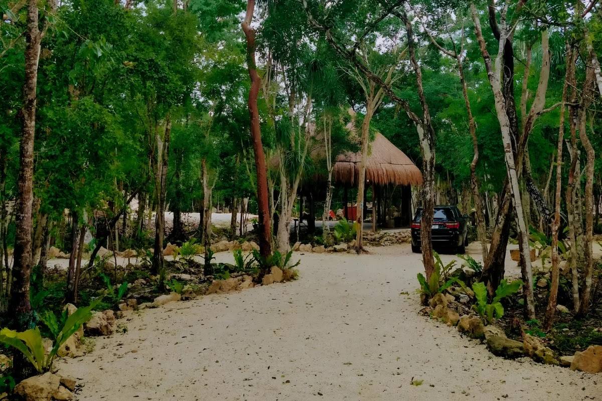 The sandy path into the property through the jungle