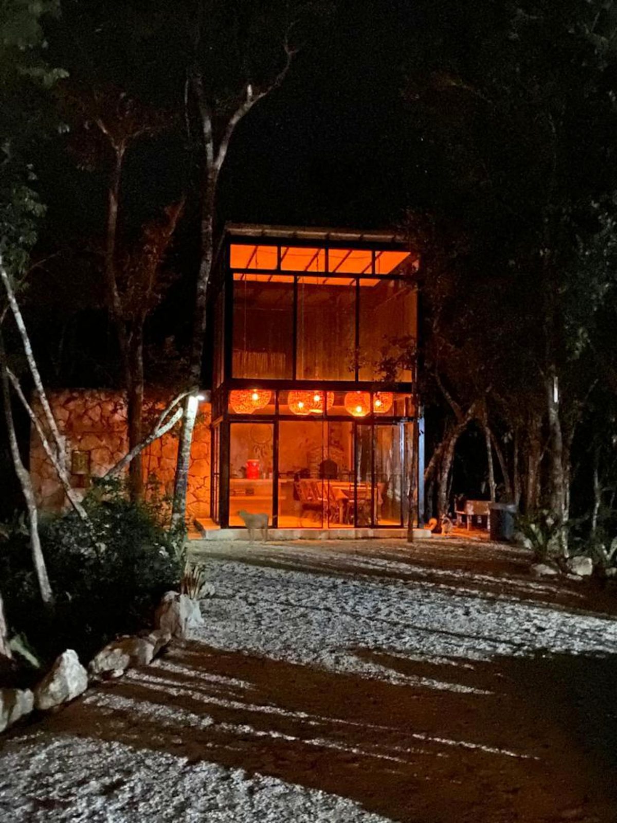 The glass pavilion lit at night in the jungle