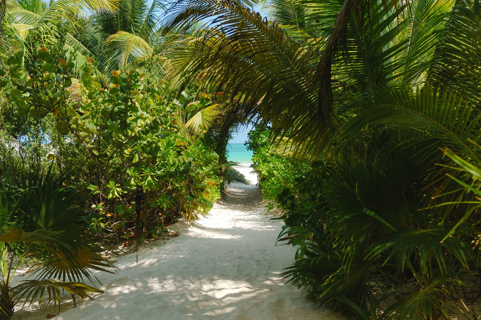 A sandy path through the jungle opening onto the Caribbean