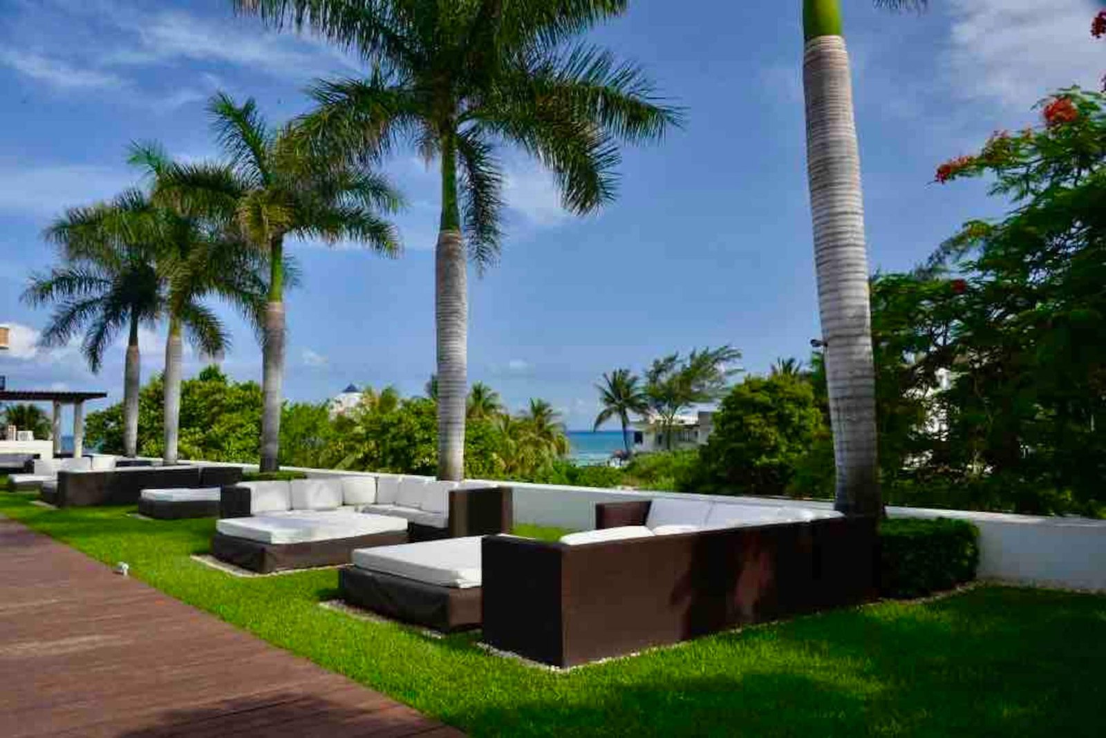 Sala de jardín con palmeras y el mar al fondo